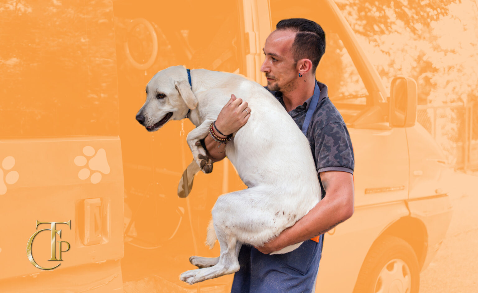 Tax Deductions for Business Vehicles Section 179 vs. Bonus